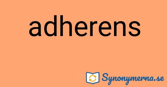 Bild som illustrerar ordet adherens och dess synonymer.
