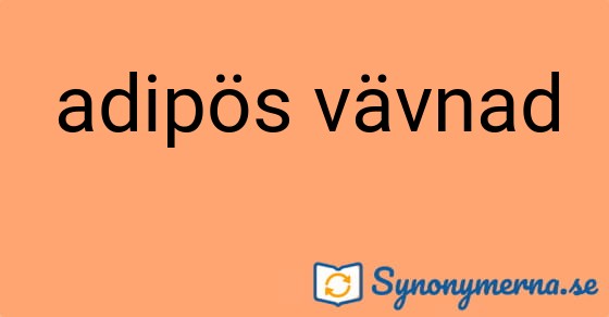 Bild som illustrerar uttrycket adipös vävnad och dess synonymer.