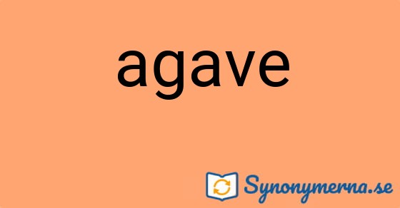 Bild som illustrerar ordet agave och dess synonymer.