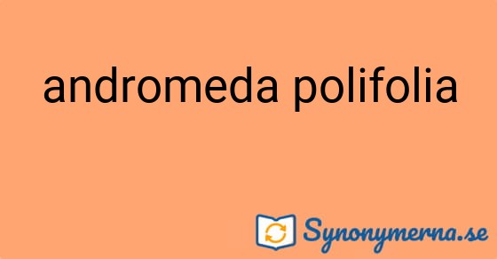 Bild som illustrerar uttrycket andromeda polifolia och dess synonymer.