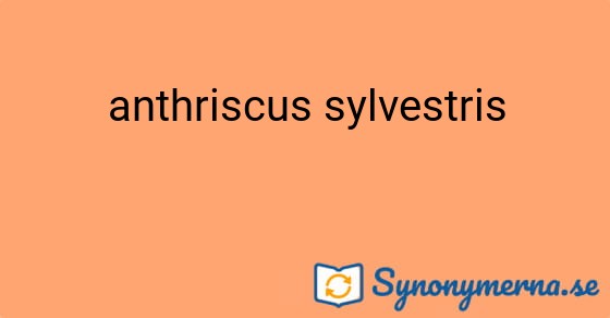 Bild som illustrerar uttrycket anthriscus sylvestris och dess synonymer.