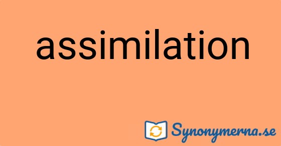 Bild som illustrerar ordet assimilation och dess synonymer.