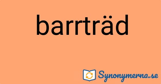 Bild som illustrerar ordet barrträd och dess synonymer.