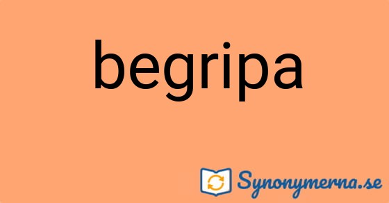 Bild som illustrerar ordet begripa och dess synonymer.