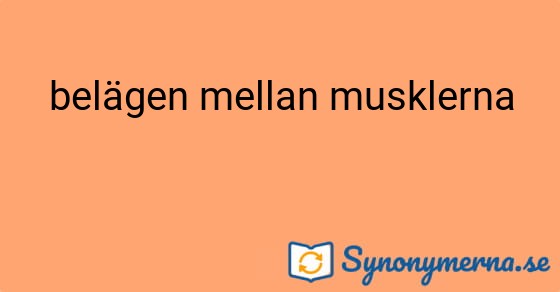 Bild som illustrerar uttrycket belägen mellan musklerna och dess synonymer.