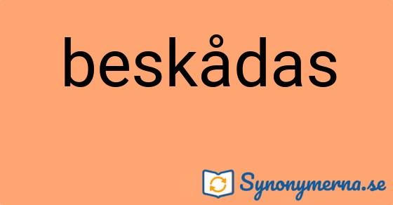 Bild som illustrerar ordet beskådas och dess synonymer.