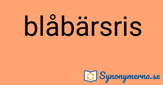 Bild som illustrerar ordet blåbärsris och dess synonymer.