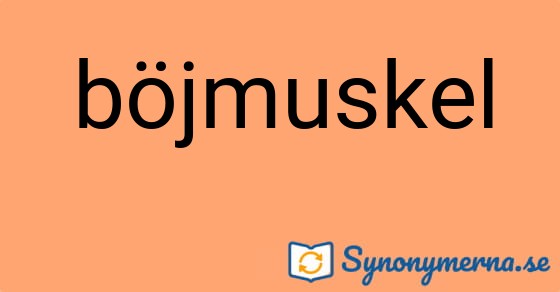 Bild som illustrerar ordet böjmuskel och dess synonymer.