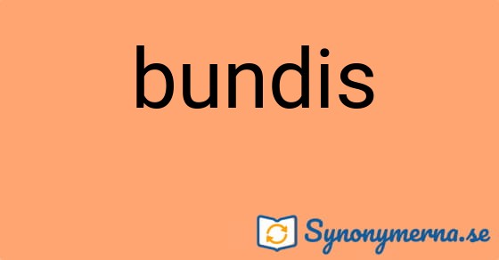 Bild som illustrerar ordet bundis och dess synonymer.