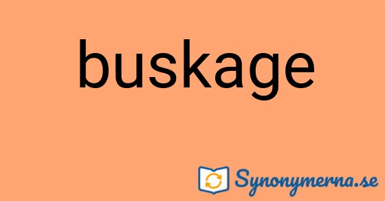 Bild som illustrerar ordet buskage och dess synonymer.