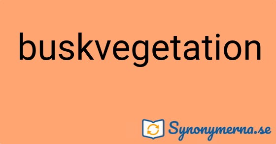 Bild som illustrerar ordet buskvegetation och dess synonymer.