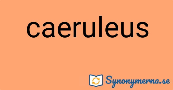 Bild som illustrerar ordet caeruleus och dess synonymer.