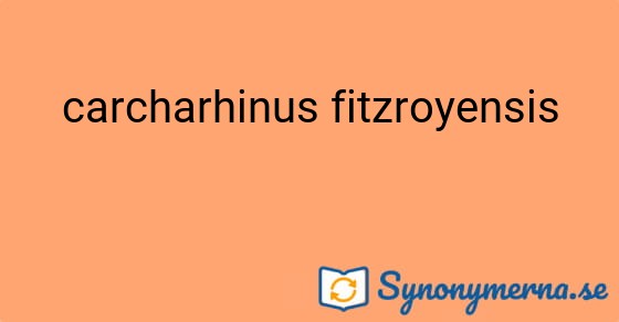 Bild som illustrerar uttrycket carcharhinus fitzroyensis och dess synonymer.