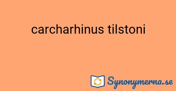 Bild som illustrerar uttrycket carcharhinus tilstoni och dess synonymer.