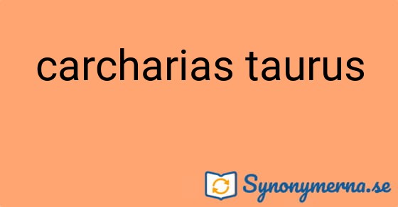 Bild som illustrerar uttrycket carcharias taurus och dess synonymer.