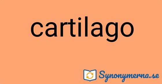 Bild som illustrerar ordet cartilago och dess synonymer.