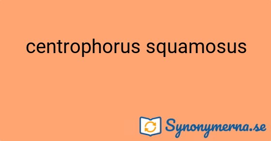 Bild som illustrerar uttrycket centrophorus squamosus och dess synonymer.