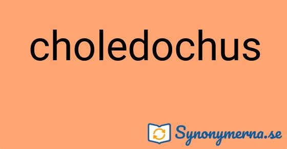Bild som illustrerar ordet choledochus och dess synonymer.