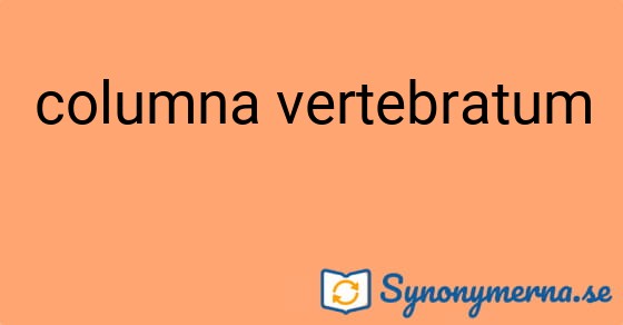 Bild som illustrerar uttrycket columna vertebratum och dess synonymer.