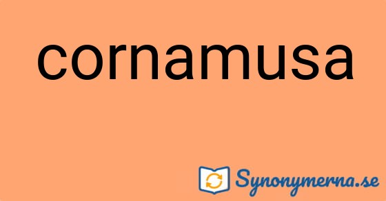 Bild som illustrerar ordet cornamusa och dess synonymer.