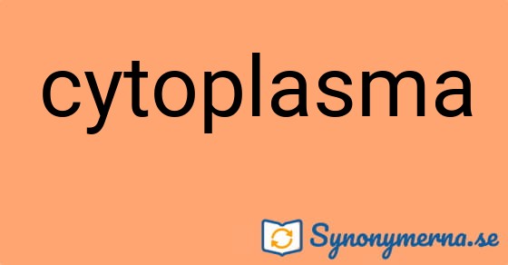 Bild som illustrerar ordet cytoplasma och dess synonymer.