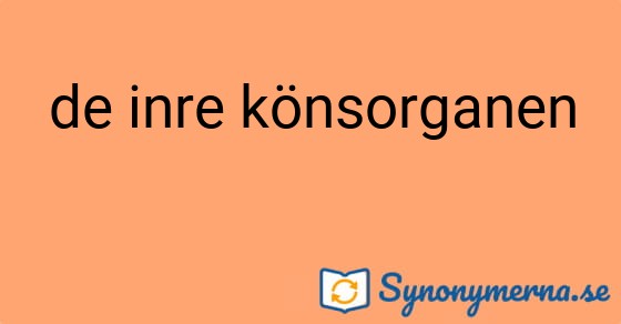 Bild som illustrerar uttrycket de inre könsorganen och dess synonymer.