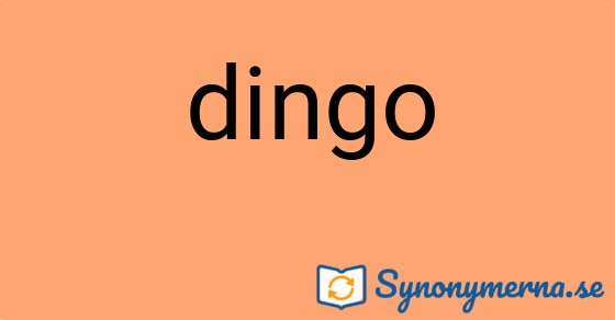Bild som illustrerar ordet dingo och dess synonymer.