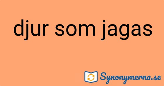 Bild som illustrerar uttrycket djur som jagas och dess synonymer.