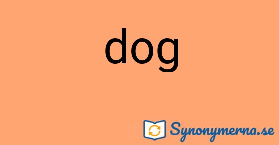 Bild som illustrerar ordet dog och dess synonymer.