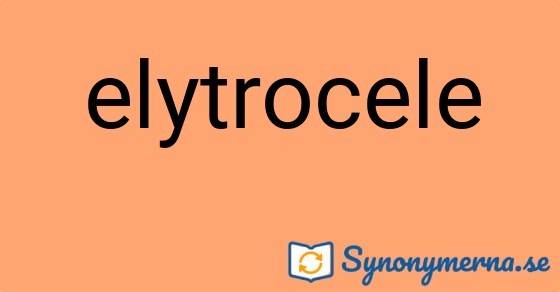 Bild som illustrerar ordet elytrocele och dess synonymer.