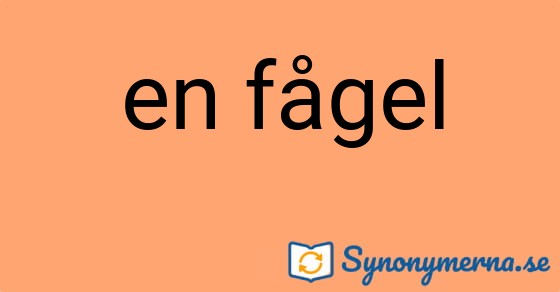 Bild som illustrerar uttrycket en fågel och dess synonymer.
