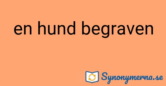 Bild som illustrerar uttrycket en hund begraven och dess synonymer.