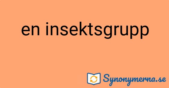 Bild som illustrerar uttrycket en insektsgrupp och dess synonymer.