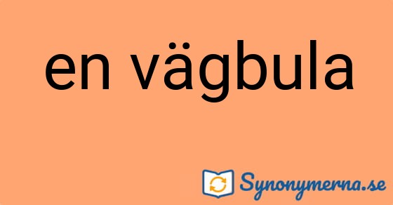 Bild som illustrerar uttrycket en vägbula och dess synonymer.