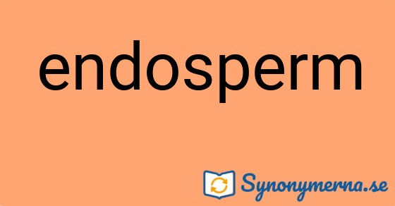 Bild som illustrerar ordet endosperm och dess synonymer.