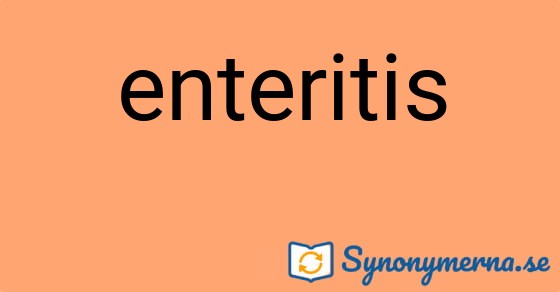 Bild som illustrerar ordet enteritis och dess synonymer.