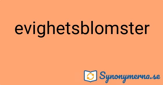 Bild som illustrerar ordet evighetsblomster och dess synonymer.