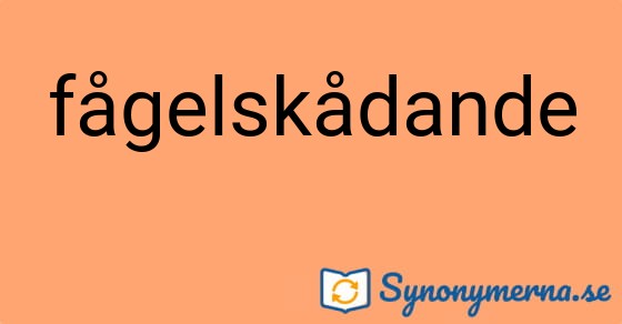 Bild som illustrerar ordet fågelskådande och dess synonymer.