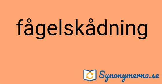 Bild som illustrerar ordet fågelskådning och dess synonymer.