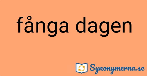 Bild som illustrerar uttrycket fånga dagen och dess synonymer.