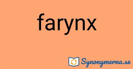Bild som illustrerar ordet farynx och dess synonymer.