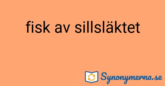Bild som illustrerar uttrycket fisk av sillsläktet och dess synonymer.