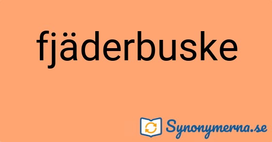 Bild som illustrerar ordet fjäderbuske och dess synonymer.