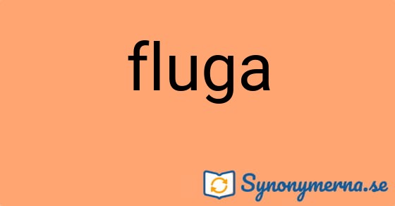 Bild som illustrerar ordet fluga och dess synonymer.