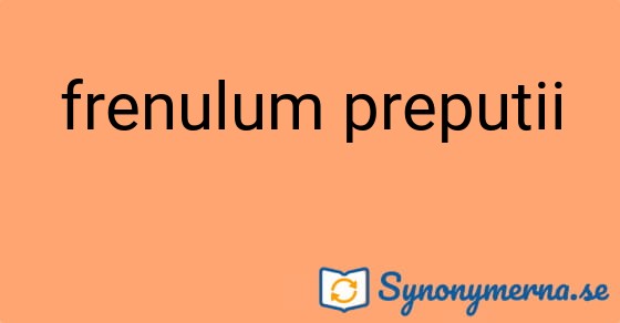 Bild som illustrerar uttrycket frenulum preputii och dess synonymer.