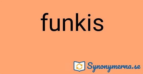 Bild som illustrerar ordet funkis och dess synonymer.