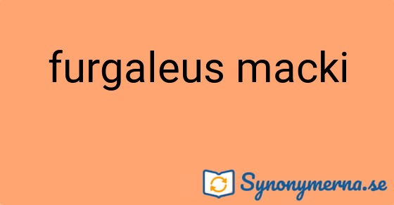 Bild som illustrerar uttrycket furgaleus macki och dess synonymer.