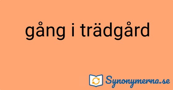 Bild som illustrerar uttrycket gång i trädgård och dess synonymer.