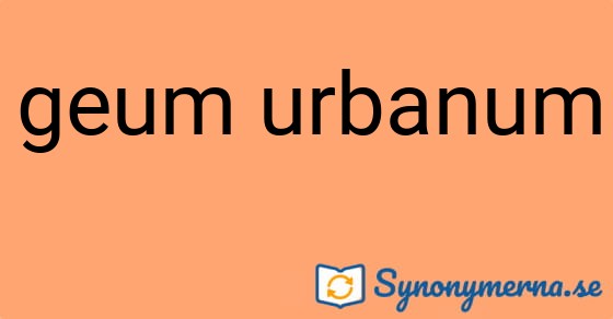 Bild som illustrerar uttrycket geum urbanum och dess synonymer.