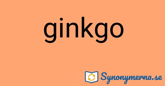 Bild som illustrerar ordet ginkgo och dess synonymer.